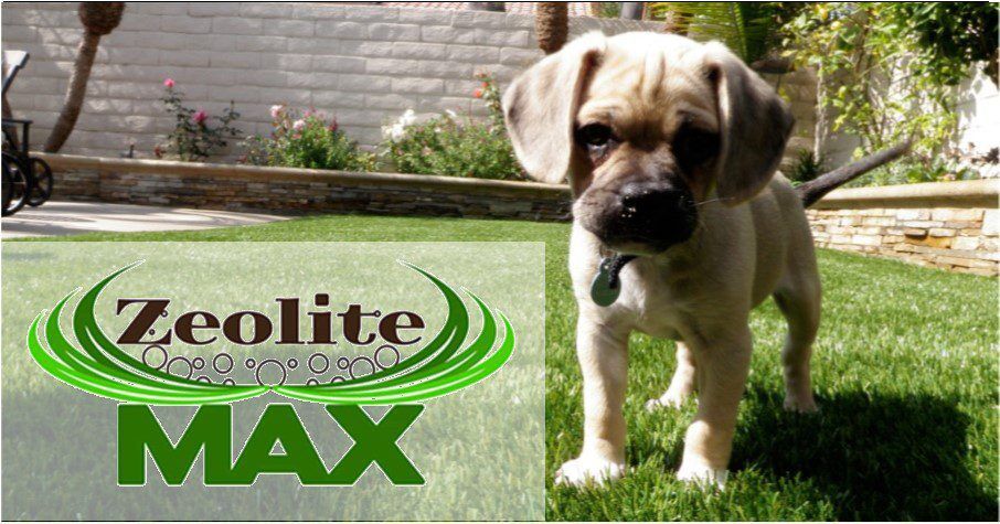 Pet Artificial Grass. Dog Runs, Parks, Kennels, Backyards, Inland Empire