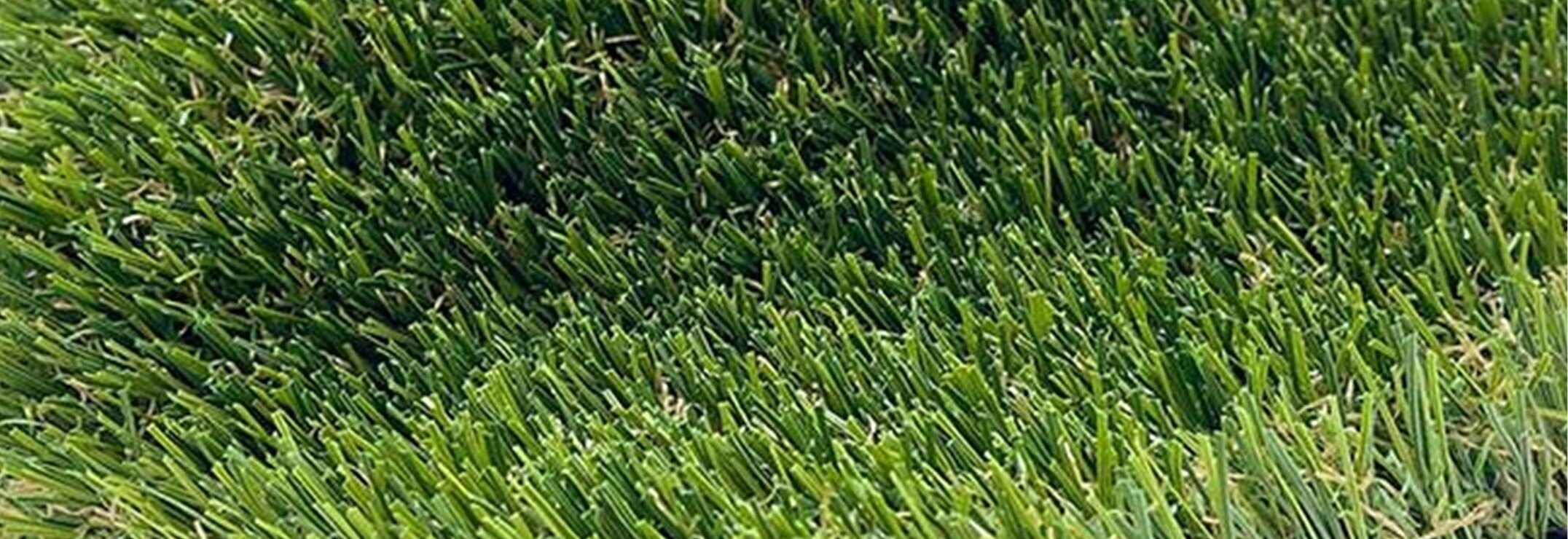 Pine Pro Artificial Grass for Front, or Backyards, Inland Empire